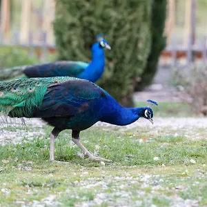 Ca'novae - Tuscany Bed & Breakfast Montieri